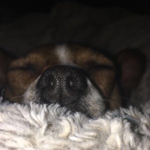 Meet your Posher, Layla